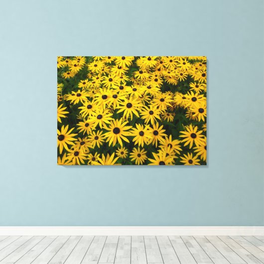 Rudbeckia Hirta (Schwarz-mit Augen Susans) Leinwanddruck (Insitu (Holzboden))