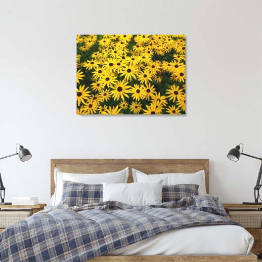 Rudbeckia Hirta (Schwarz-mit Augen Susans) Leinwanddruck (Insitu (Schlafzimmer))