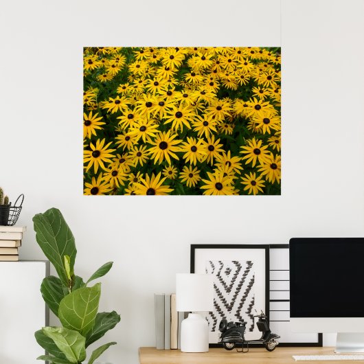 Rudbeckia Hirta (Schwarz-mit Augen Susans) Poster (Heimbüro)