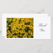 Rudbeckia Hirta (Schwarz-mit Augen Susans) - Viele Dankeskarte (Vorne/Hinten)