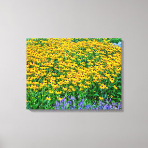 Rudbeckia Hirta und Lavendel Leinwanddruck