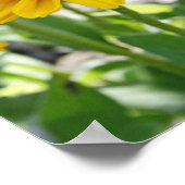 Rudbeckia Rising Poster (Ecke)