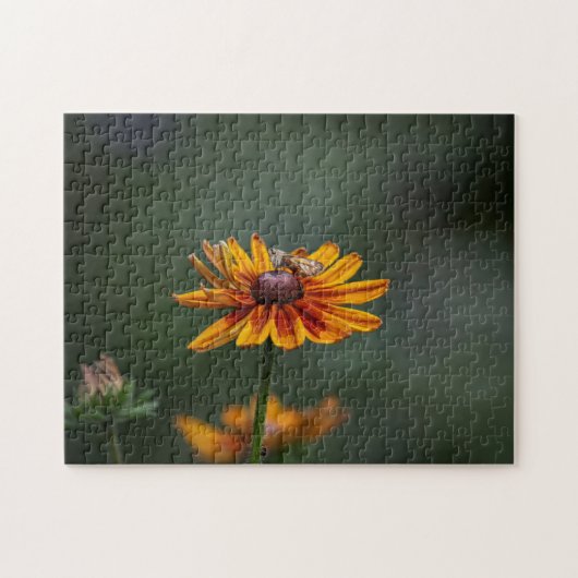 Rudbeckia Sitting Pretty Puzzle (Horizontal)
