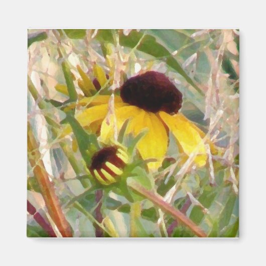 Rudbeckia und Co Magnet (Vorne)