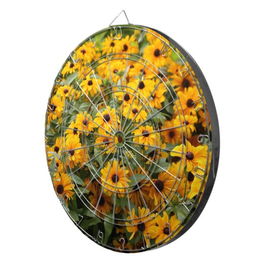 Rudbeckias / Ein Bett von Schwarz-Mit Augen Susans Dartscheibe (Vorderseite rechts)