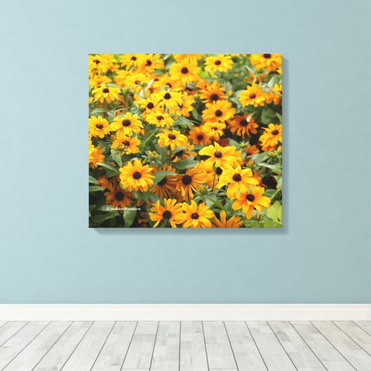 Rudbeckias / Ein Bett von Schwarz-Mit Augen Susans Leinwanddruck (Insitu (Holzboden))