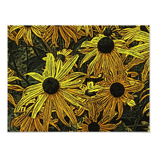 RUDBECKIAS FOTODRUCK (Vorne)