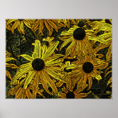 RUDBECKIAS POSTER (Vorne)
