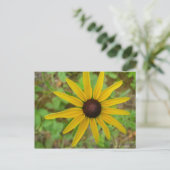 Rudbeckie hérissée postkarte (Stehend Vorderseite)