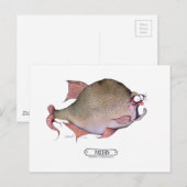 Rudd fish, tony fernandes postkarte (Vorne/Hinten)