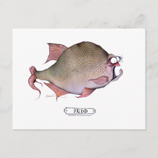 Rudd fish, tony fernandes postkarte (Vorderseite)