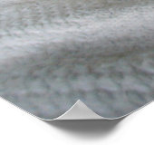 Ruddy Abyssinian Cat Poster (Ecke)