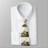 Ruddy Duck von John Audubons Vögeln von Amerika Krawatte (Gebunden)