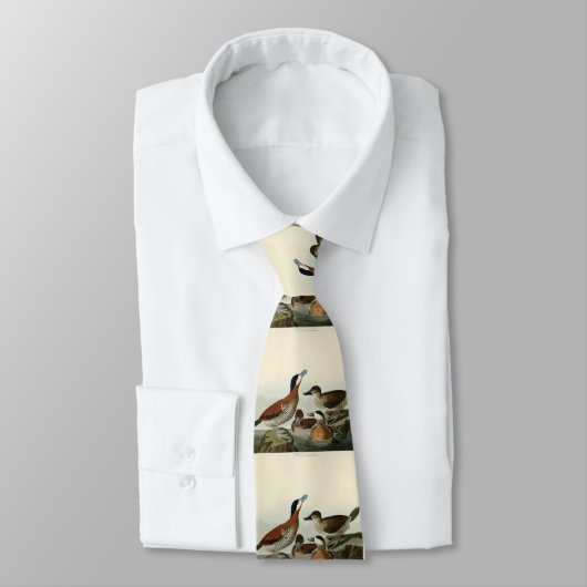 Ruddy Duck von John Audubons Vögeln von Amerika Krawatte (Gebunden)