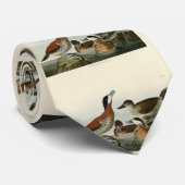 Ruddy Duck von John Audubons Vögeln von Amerika Krawatte (Gerollt)