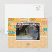 Rude Erwachen in Postkarte (Vorne/Hinten)