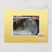 Rude Erwachen in Postkarte (Vorderseite)