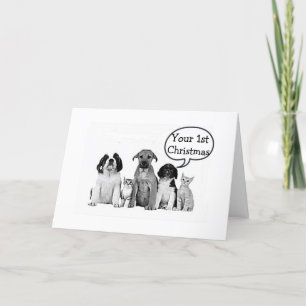 RUDEL HUNDE "FROHE 1. WEIHNACHTEN für KIND"