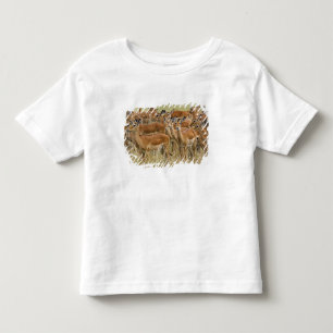 Rudel weiblicher Impalas, Masai Mara, Kenia. Kleinkind T-shirt