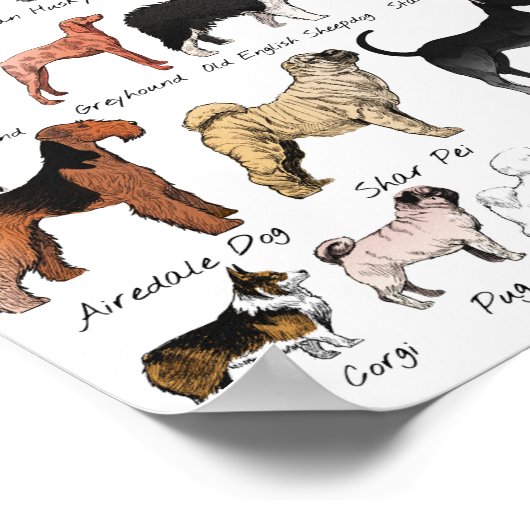 Rüden Poster (Ecke)