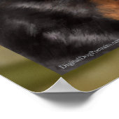 Ruder Poster (Ecke)