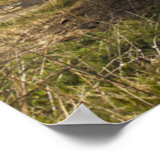 Ruderboote am Ufer | England Poster (Ecke)