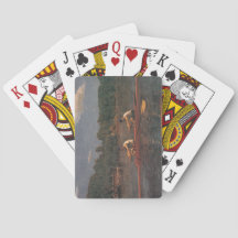 Ruderbootrennen am Fluss