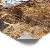 Ruderwagen vor dem verlassenen Bauernhof Poster (Ecke)