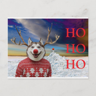 Rudolf the Sibe Postkarte