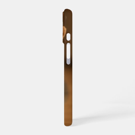 Rudolph the Cat iPhone 16 Case iPhone 16 Hülle (Linke Seite)