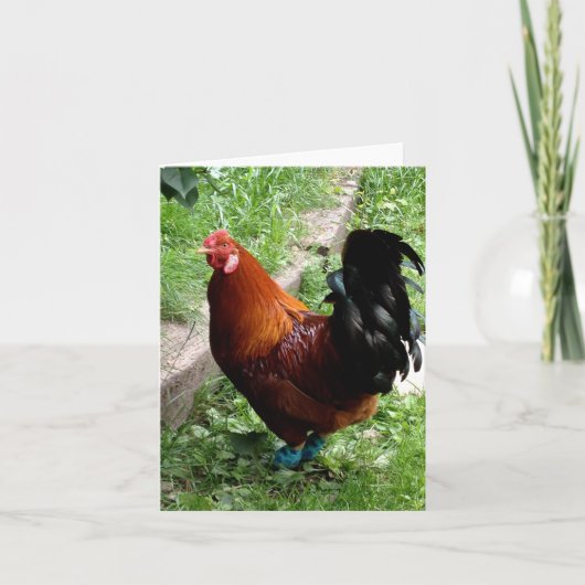 Rudy Karte (Vorderseite)