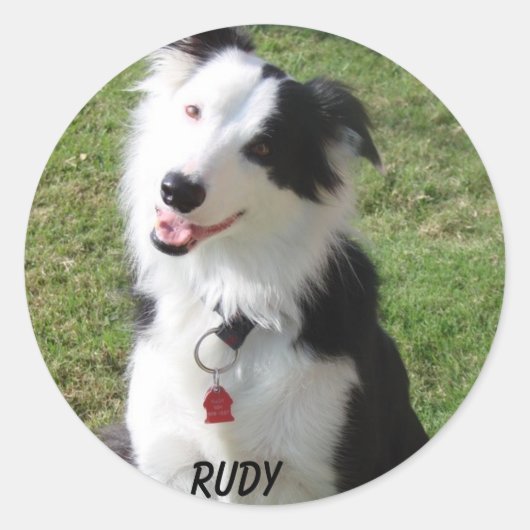 RUDY RUNDER AUFKLEBER (Vorderseite)