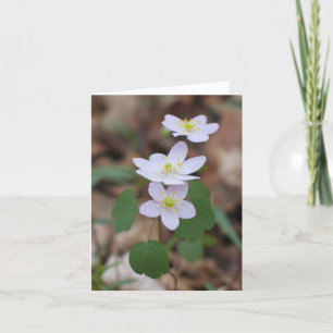 Rue Anemone Notecard Karte