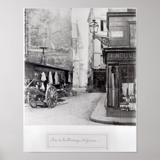 Rue de la Montagne Sainte-Genevieve Poster (Vorne)