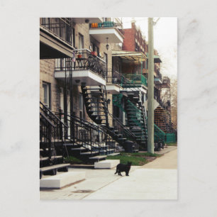 Rue la fontaine postkarte