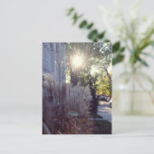 Rue Théodore Postkarte (Stehend Vorderseite)