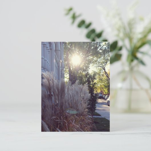 Rue Théodore Postkarte (Stehend Vorderseite)