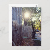 Rue Théodore Postkarte (Vorne/Hinten)