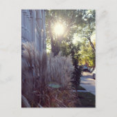 Rue Théodore Postkarte (Vorderseite)