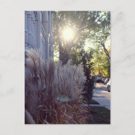 Rue Théodore Postkarte