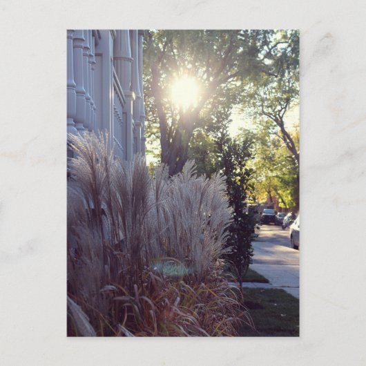 Rue Théodore Postkarte (Vorderseite)