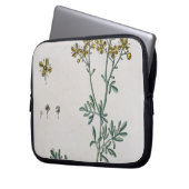 Rue, überziehen 7 von "einem neugierigen Kräuter", Laptopschutzhülle (Vorderseite Links)