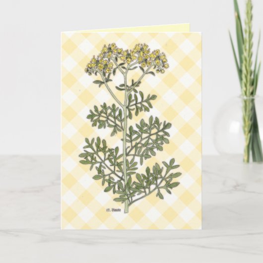 "Rue" Vintag botanisch Karte (Vorderseite)
