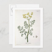 Rue von "Phytographie Medicale" von Joseph Roques Postkarte (Vorne/Hinten)