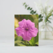 Ruellia simplex feiertagspostkarte (Stehend Vorderseite)