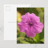 Ruellia simplex feiertagspostkarte (Vorne/Hinten)