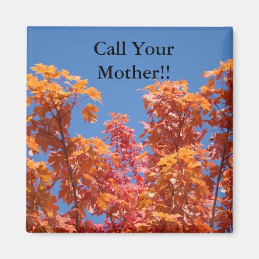 Ruf deine Mutter! Magnete Blue Sky Fall Trees Magnet (Vorne)