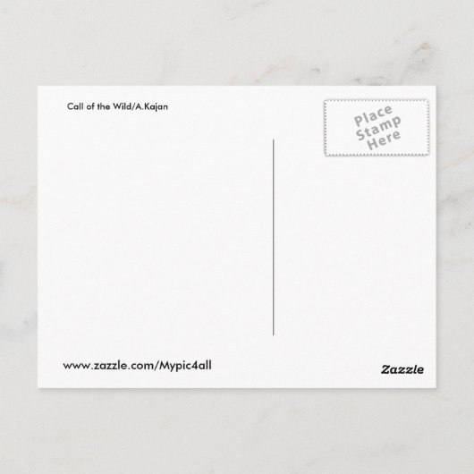 Ruf der Wilden. Postkarte (Rückseite)