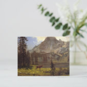 Ruf der Wildnis Postkarte (Stehend Vorderseite)