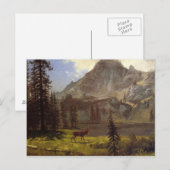 Ruf der Wildnis Postkarte (Vorne/Hinten)